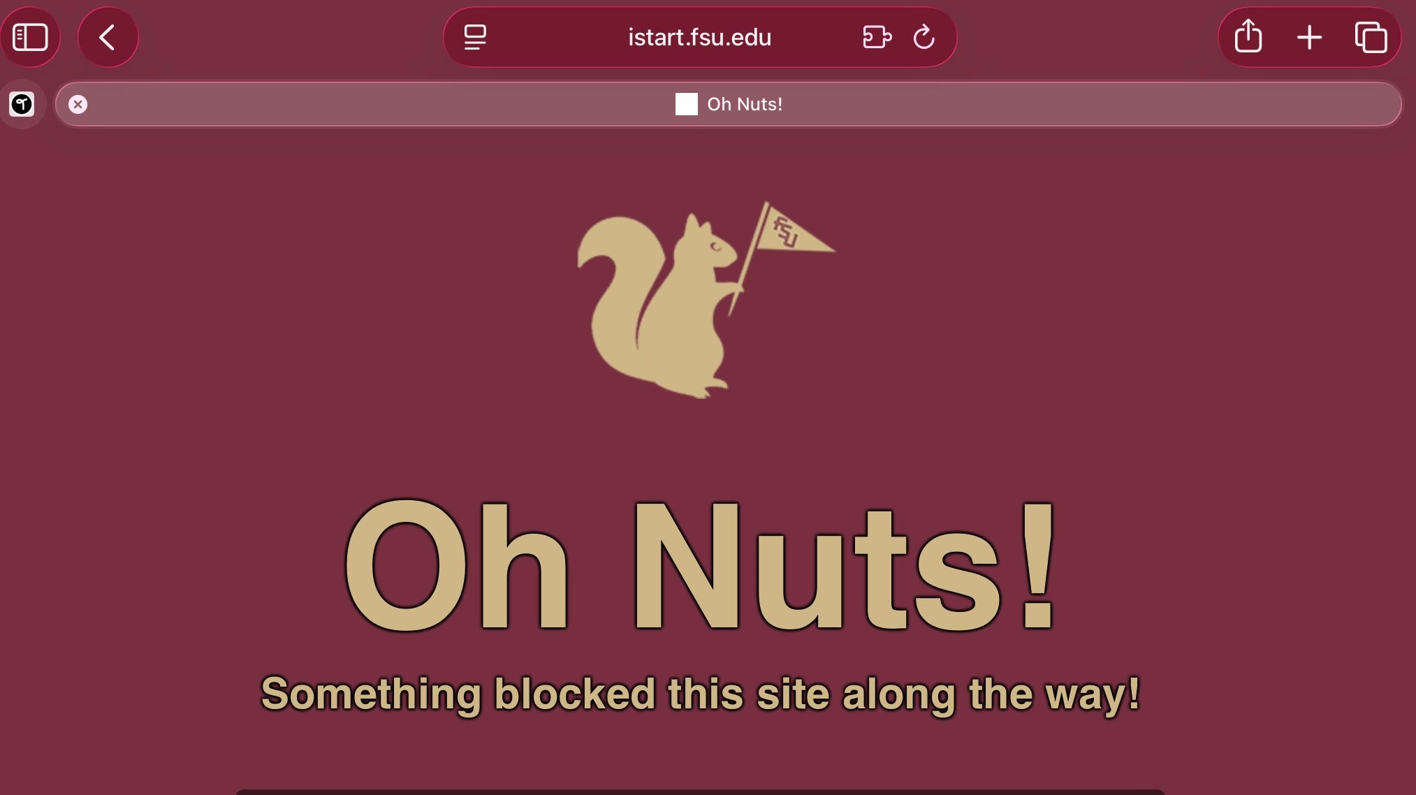 Image of 'Oh Nuts!' error which is displayed when files uploaded exceed 3MB