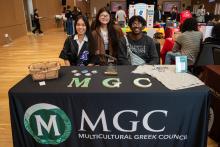 The 29th Annual International Bazaar