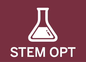 STEM OPT Button